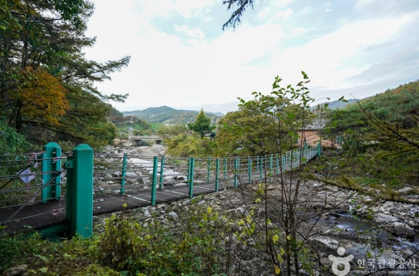 예천 가볼만한곳 베스트 10
