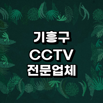 용인 기흥구 cctv