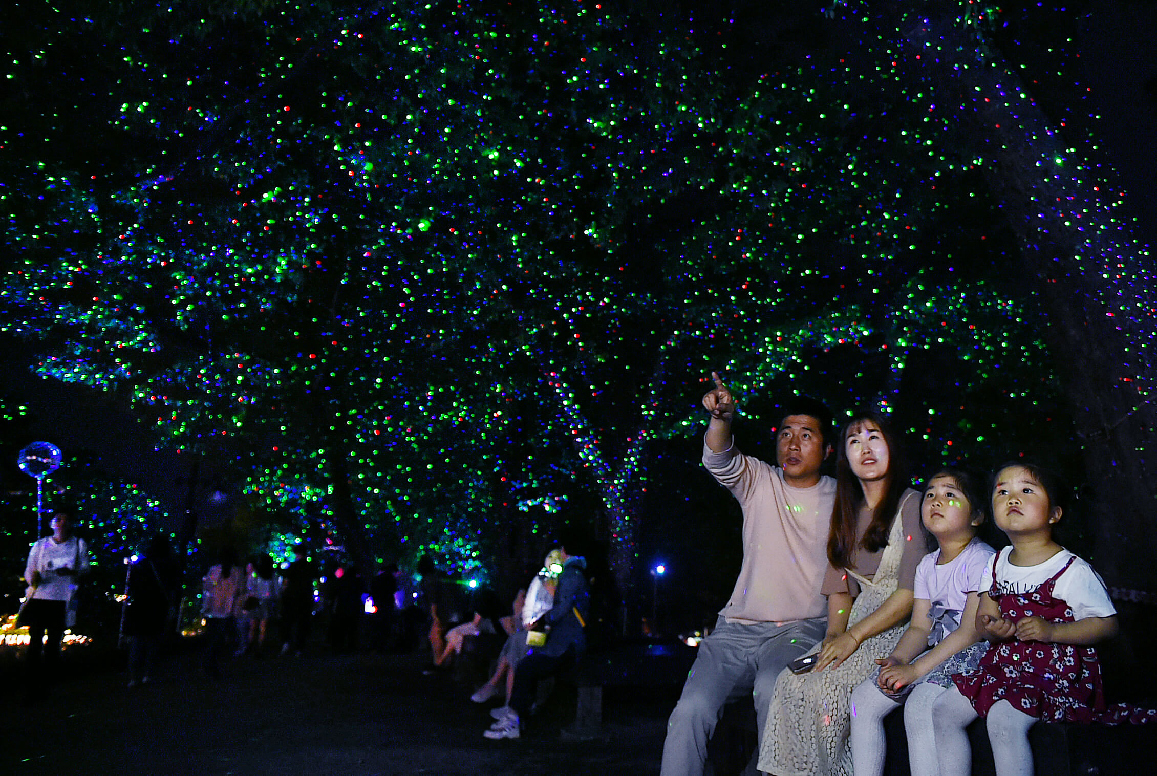 담양 대나무축제