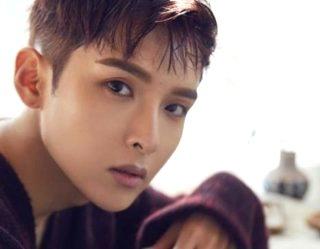 려욱 팬 추락사고 원인 슈퍼주니어 려욱 심경 고백