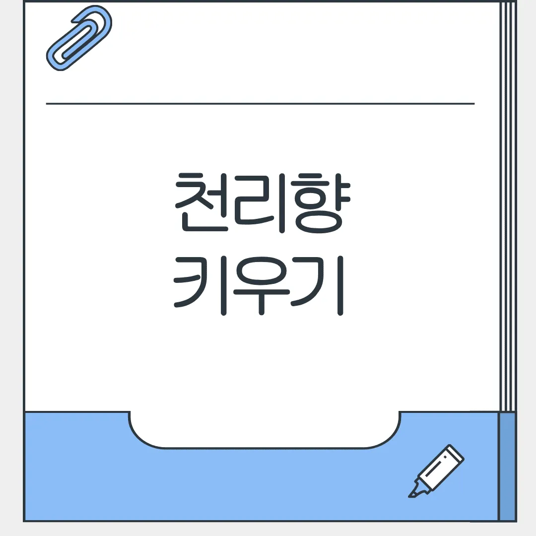 천리향 키우기