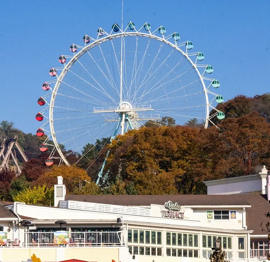 에버랜드-입장료-할인-자유이용권-가격