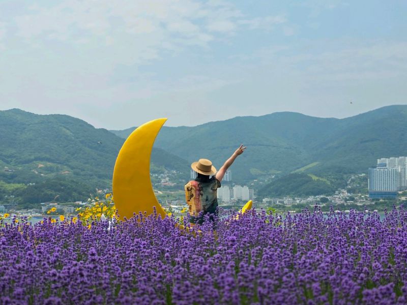 지세포 진성꽃동산