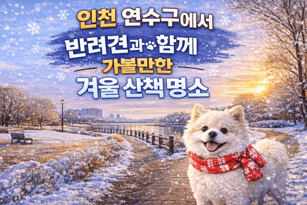 인천 연수구 반려견 겨울 나들이 명소, 강아지와 함께 걷기 좋은 산책 코스