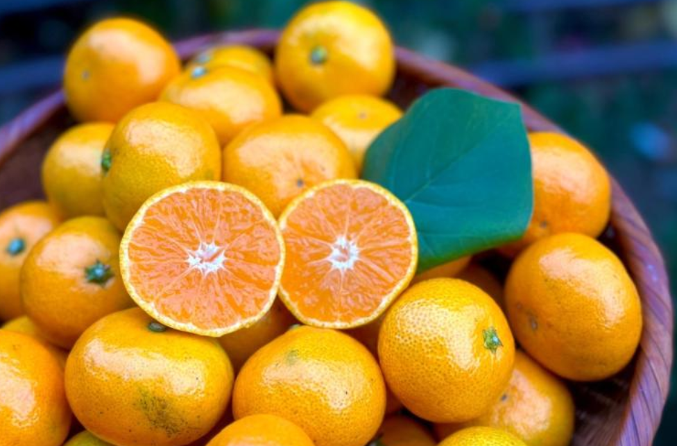 메가도스 요법이 주목받는 이유: 몸의 ‘산화’를 막다