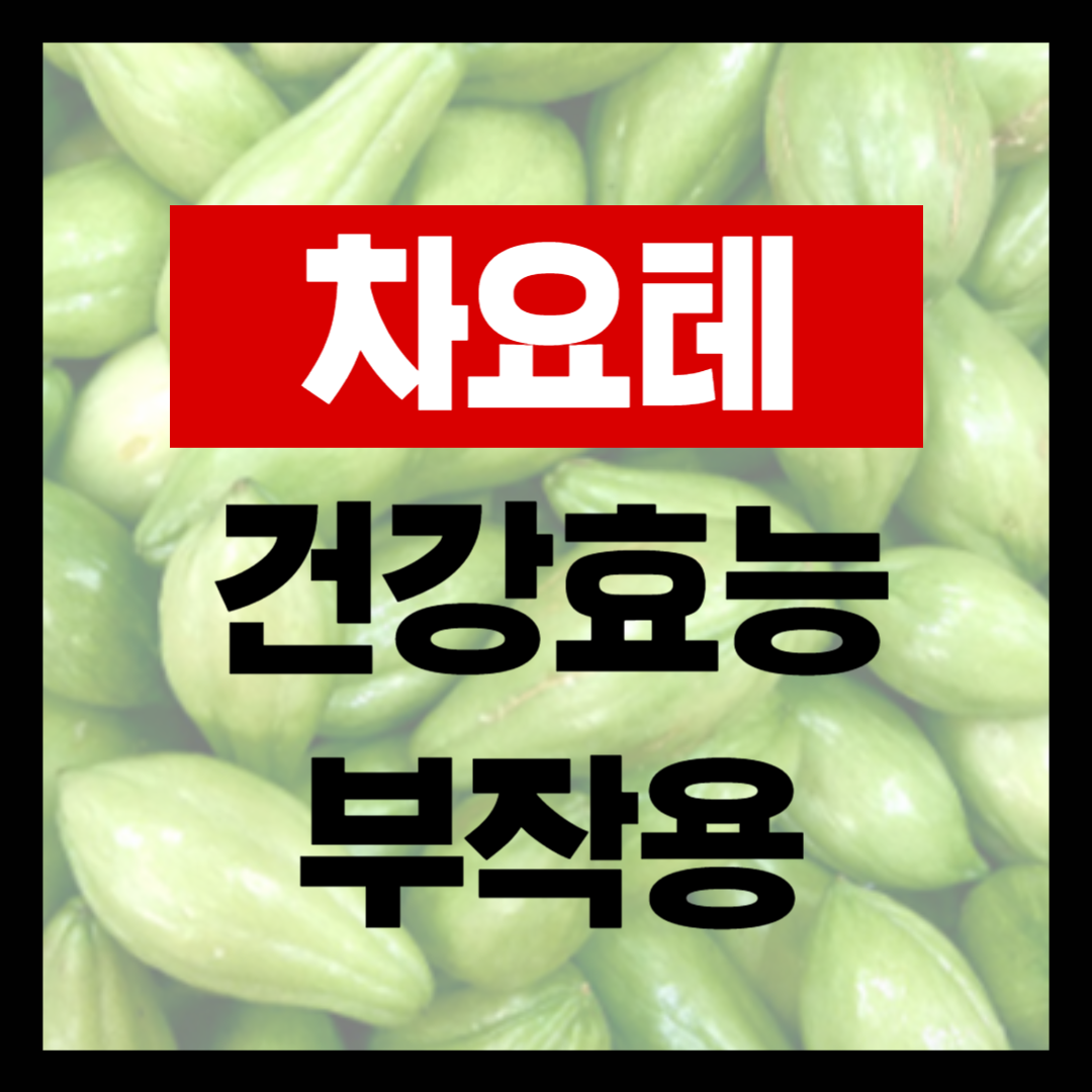 차요태 건강 효능과 차요테 부작용
