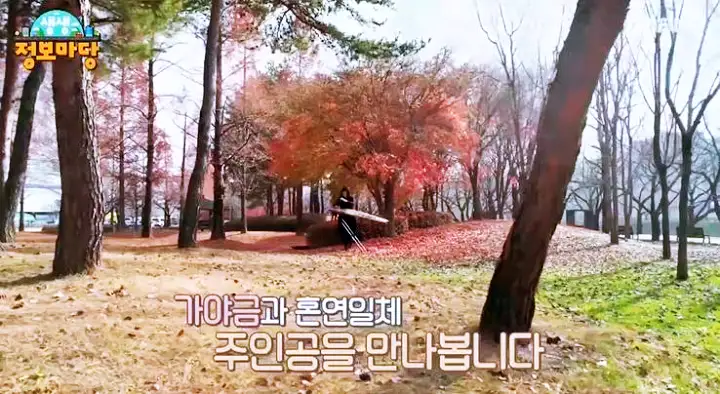 가야금 연주 신비한 SNS 사전 추천