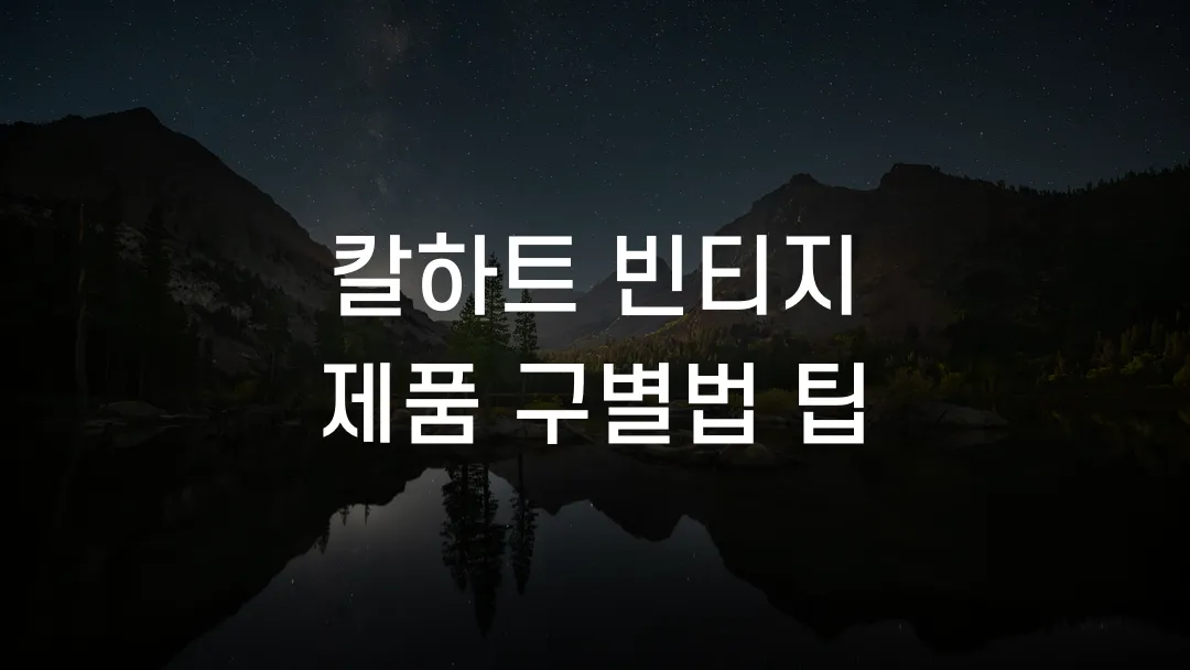 칼하트 빈티지 제품 구별법 팁