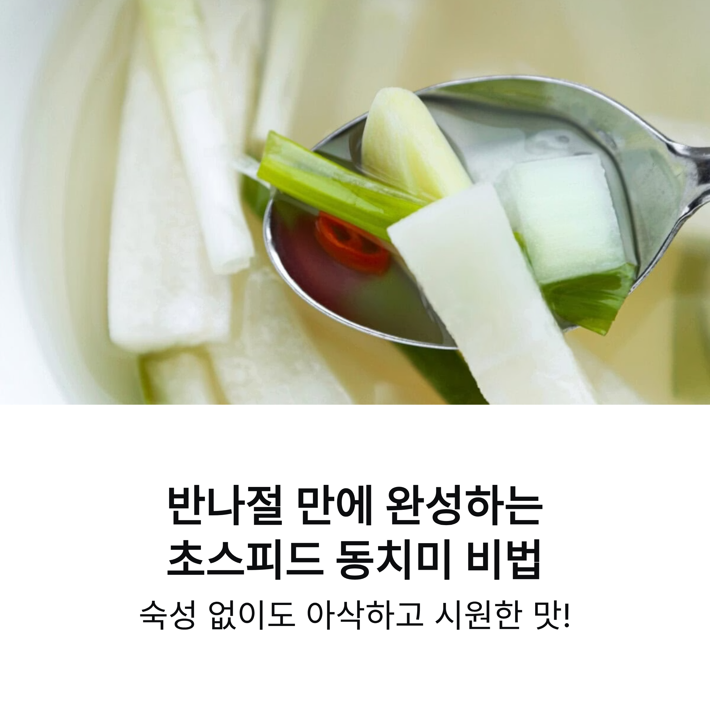 초스피드 동치미 이렇게 하면 어마무시하게 맛있습니다! 누구나 단숨에 완성하는 비법 공개