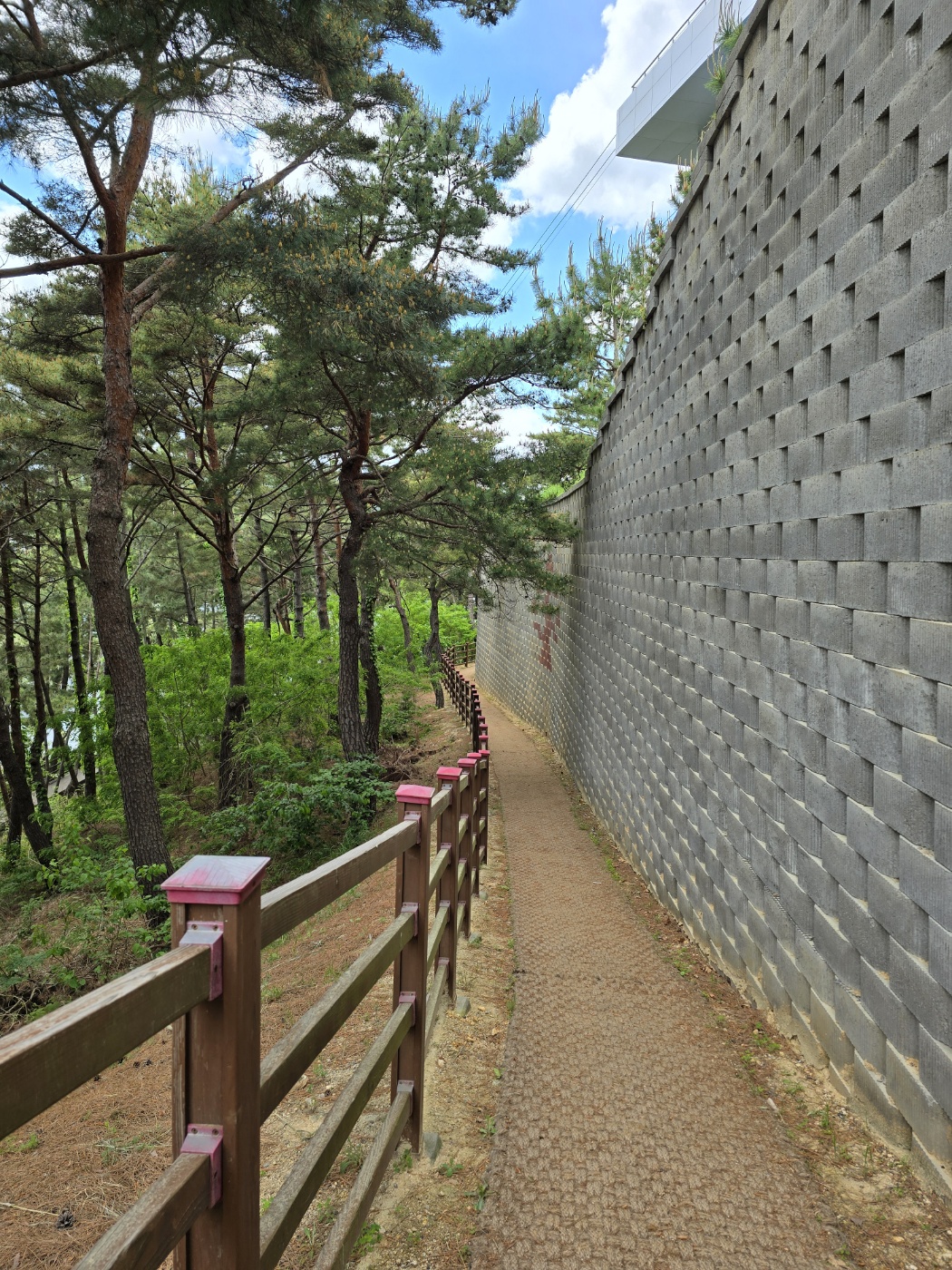 어느정도 오르고나면 둘레길이보여요
