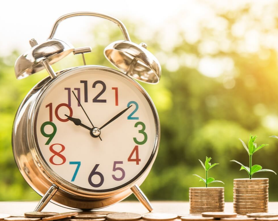 시계와 동전 새싹