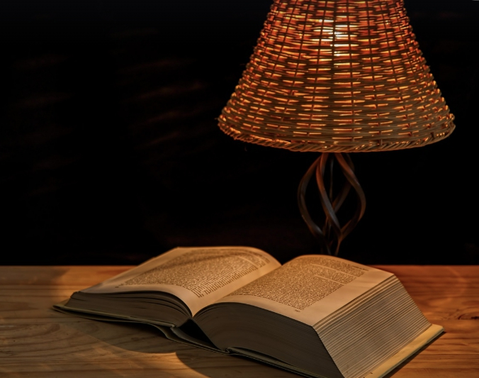 장미와 나이프 리뷰