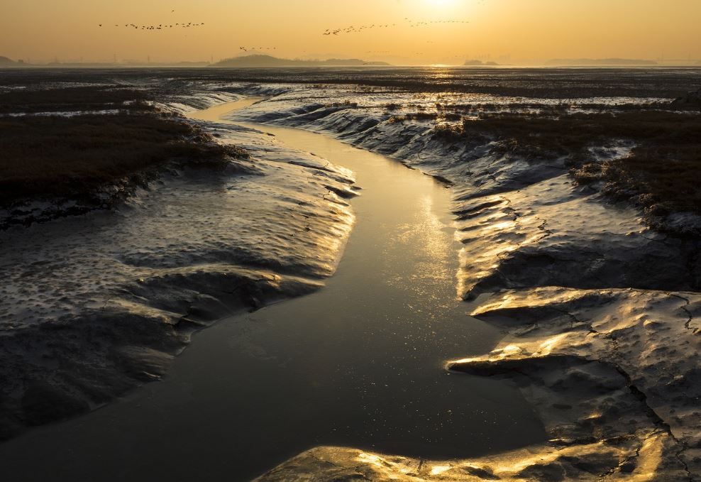 해루질 사망사고가 자주 발생하는 갯골