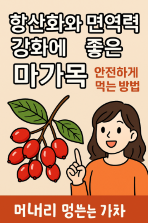 마가목 효능 썸네일
