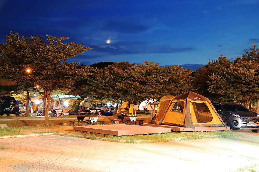 레전드 캠핑장 송지호오토캠핑장 소개