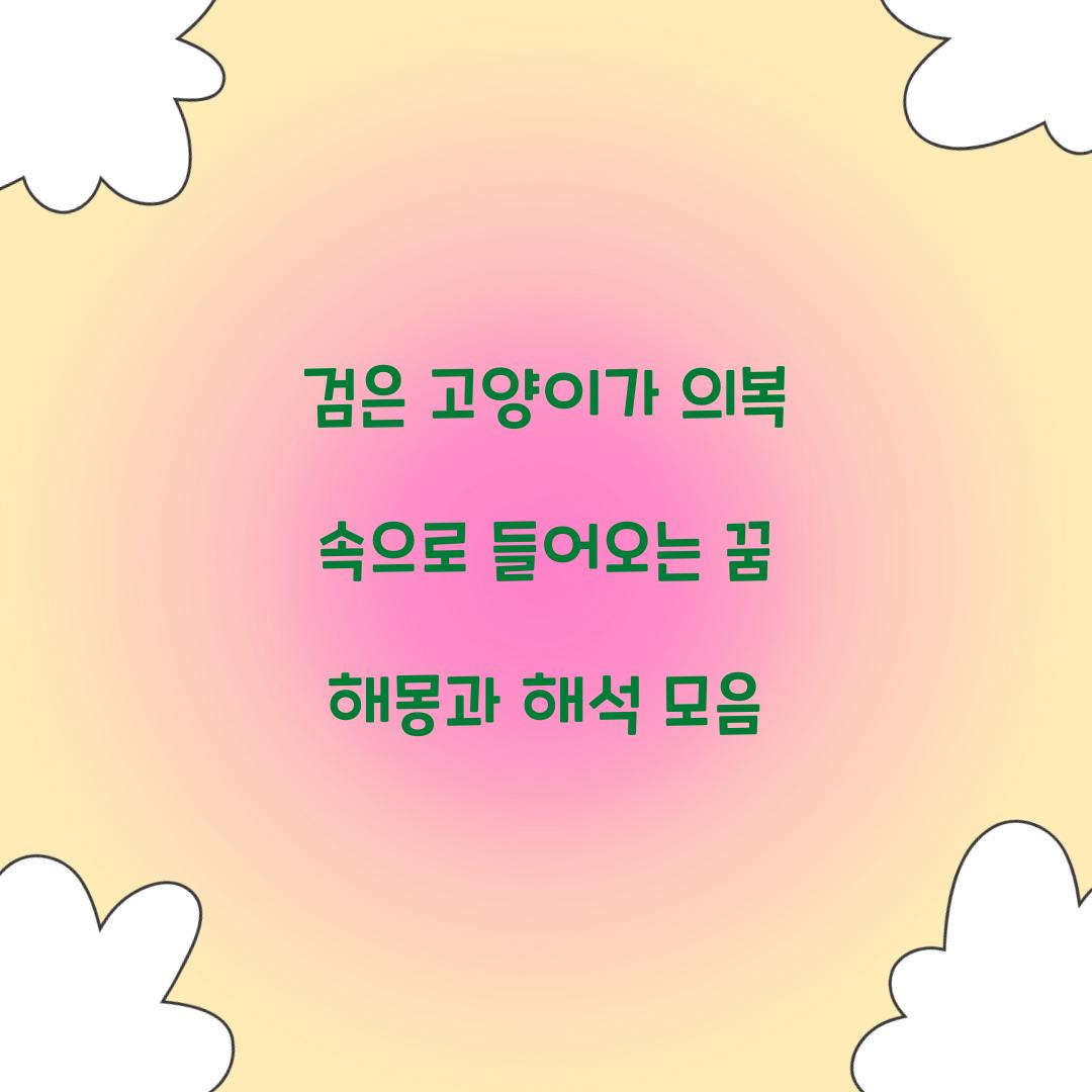 검은 고양이가 의복 속으로 들어오는 꿈 풀이 해몽 해석