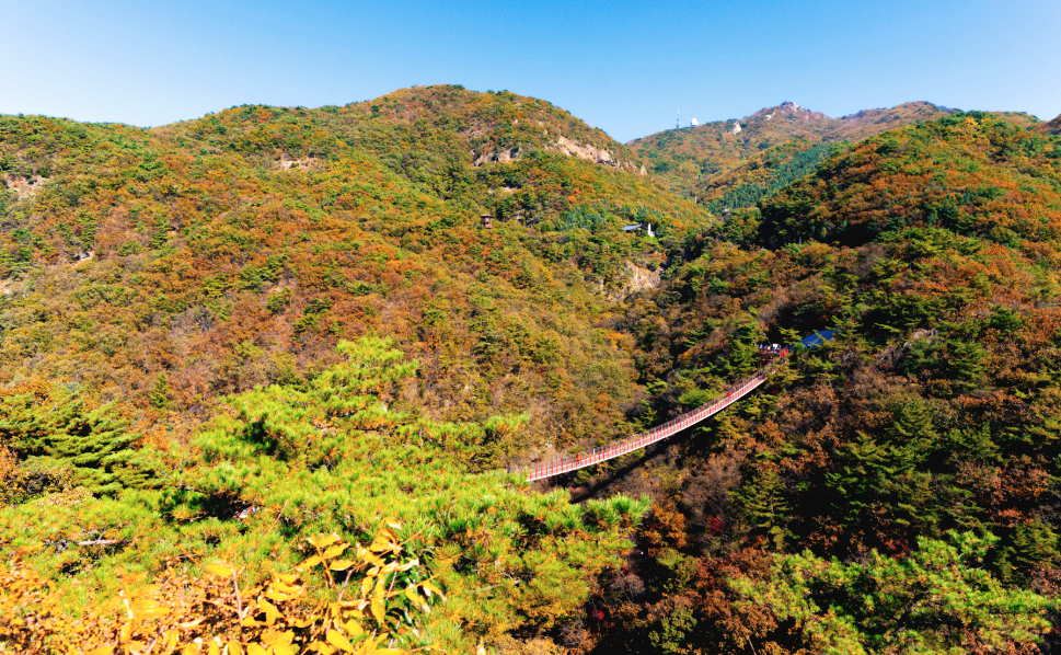 감악산 단풍
