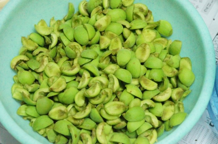 매실 흑매실 효능 매실짱아찌 매실청 만드는법