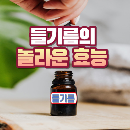 들기름 효능