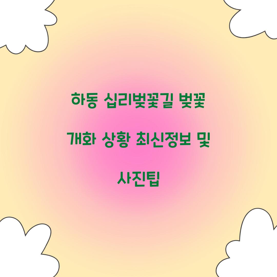 하동 십리벚꽃길 벚꽃 개화 상황