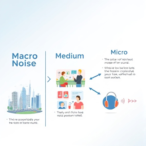 거시 소음과 중간 소음, 그리고 미시 소음의 구조적 차이에 대해 설명하는 이미지