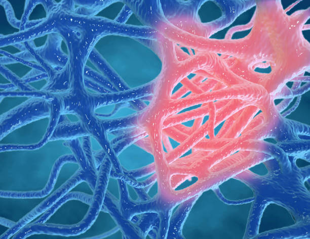 쏘팔메토 효능은 탈모와 전립선이 대표적입니다. 인도인들이 영양보충제로 받아들일 정도로 영양가가 높습니다. 