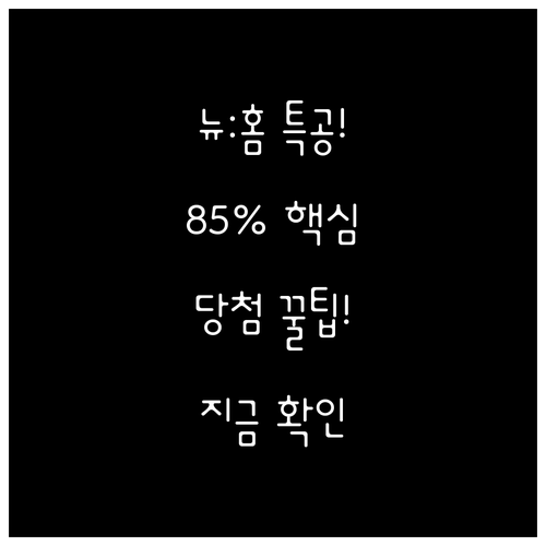 뉴:홈 특별공급 85% 물량 당첨 확..