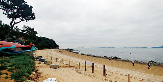 신시모도