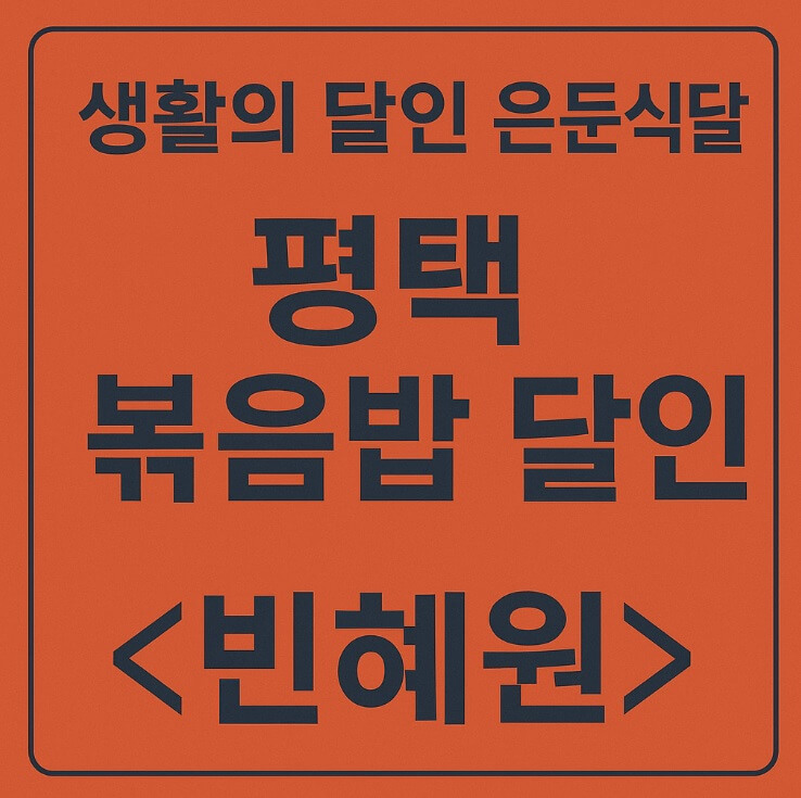 생활의 달인 은둔식달 전국 TOP 평택 볶음밥 달인 평택 볶음밥 맛집 빈혜원