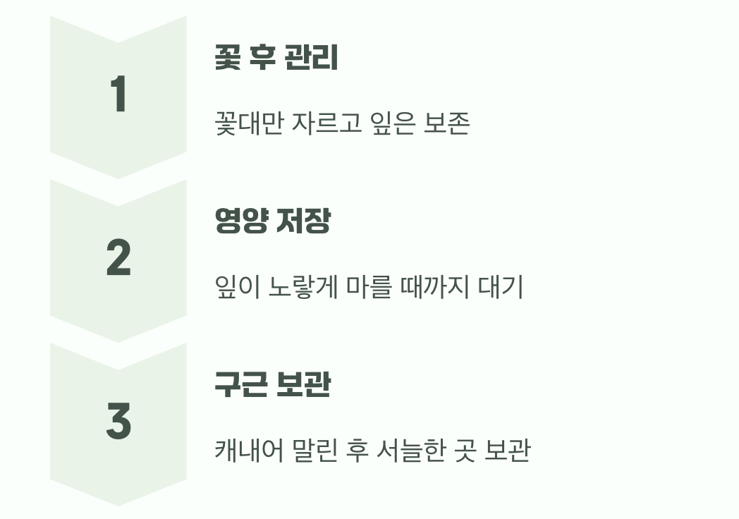 다섯 번째 비결: 내년을 기약하는 수확의 기쁨