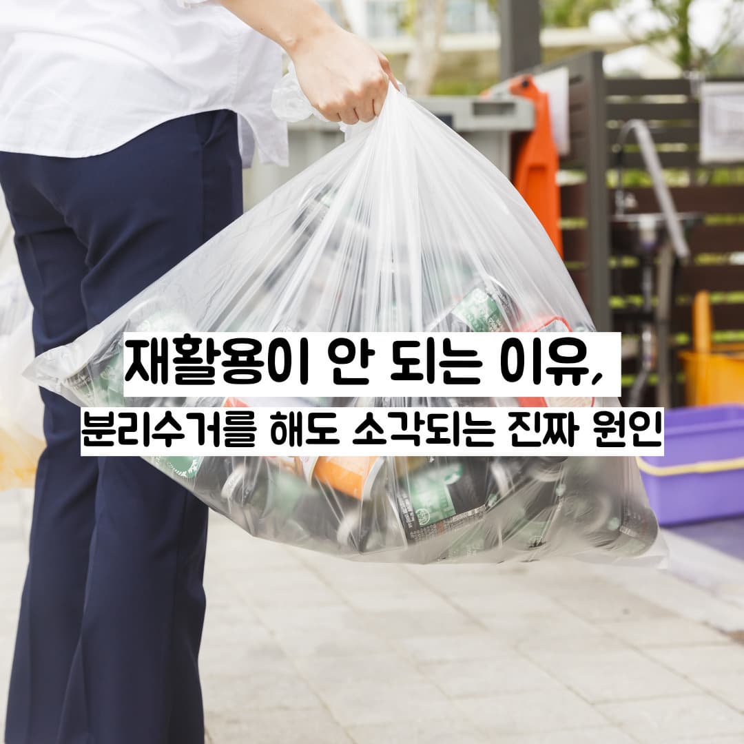 재활용이 안 되는 이유, 분리수거를 해도 소각되는 진짜 원인
