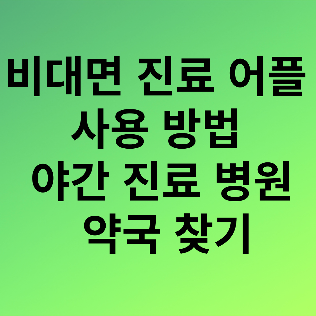 설연휴 비 대면 진료 어플 사용 방법 야간 진료 병원 약국 찾기 썸네일