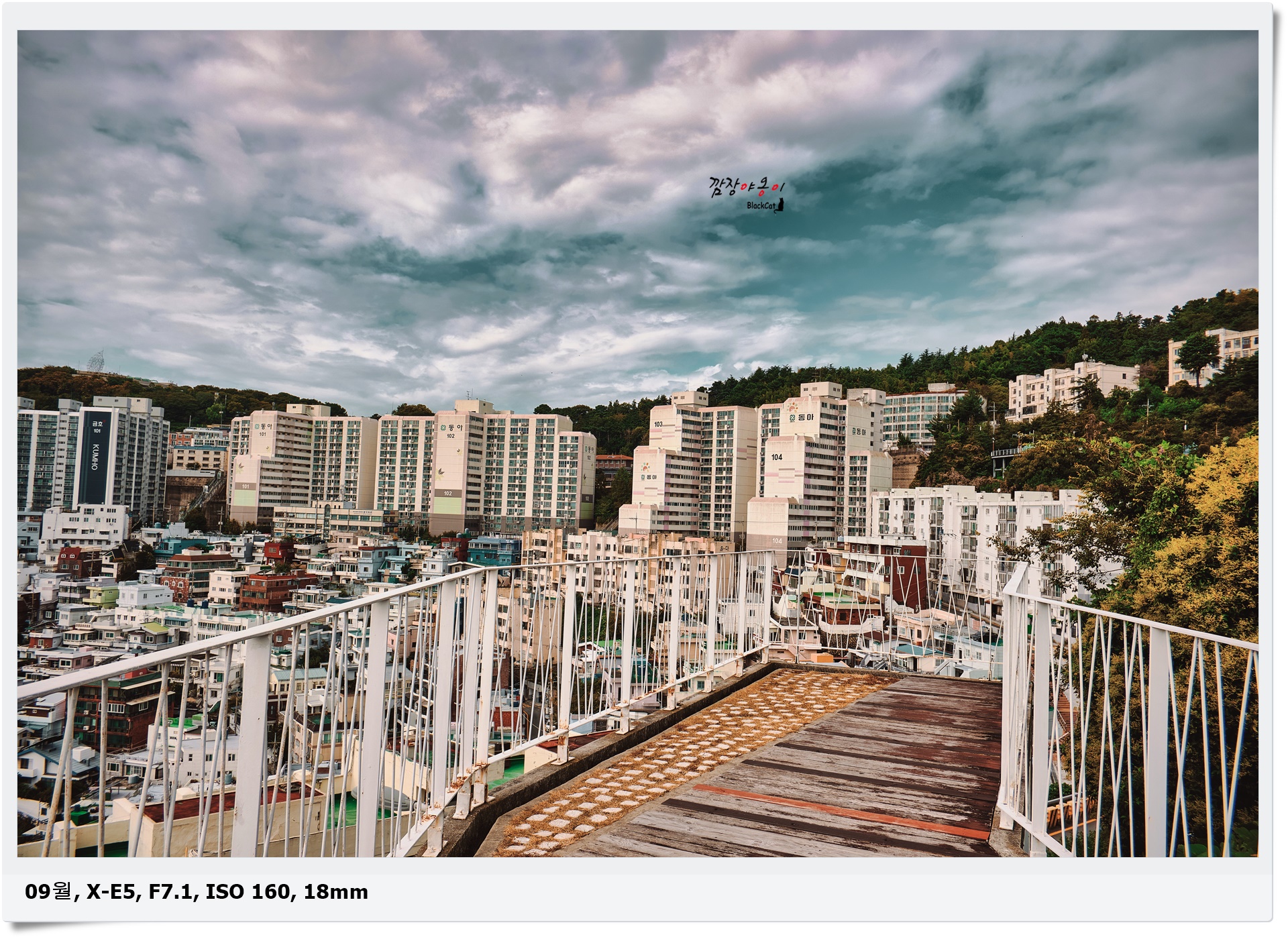 부산 영주동 산복도로 고지대 주택과 좁은 골목길을 내려다본 풍경