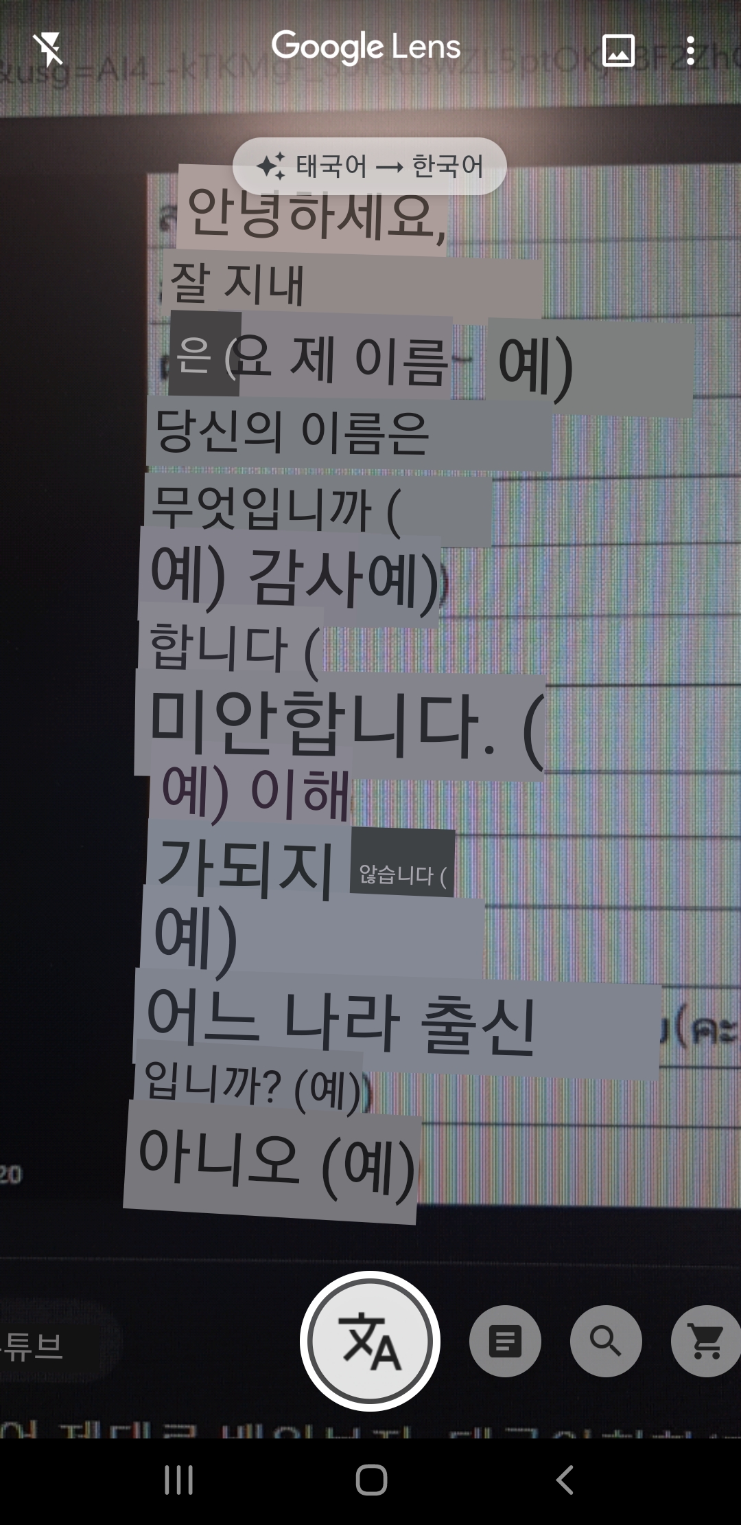 구글 렌즈_Google Lens