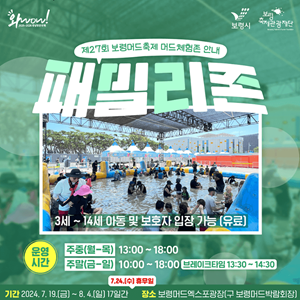 보령 머드축제