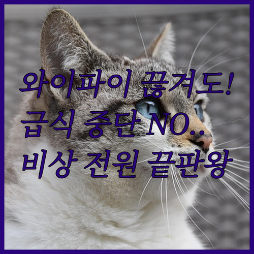 네트워크 오류에도 스케줄 유지되는 고..