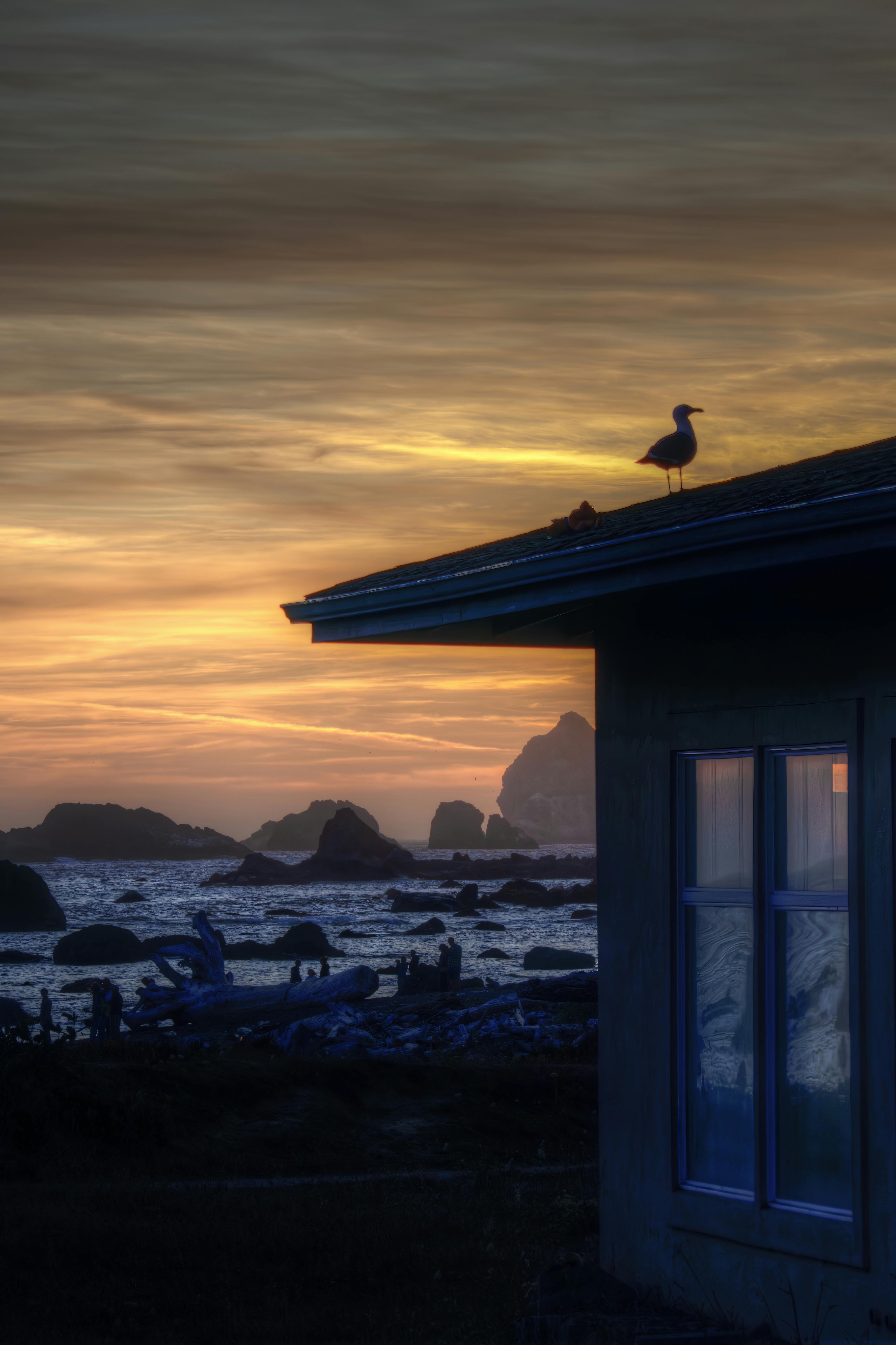 부동산 소유 개념의 탄생