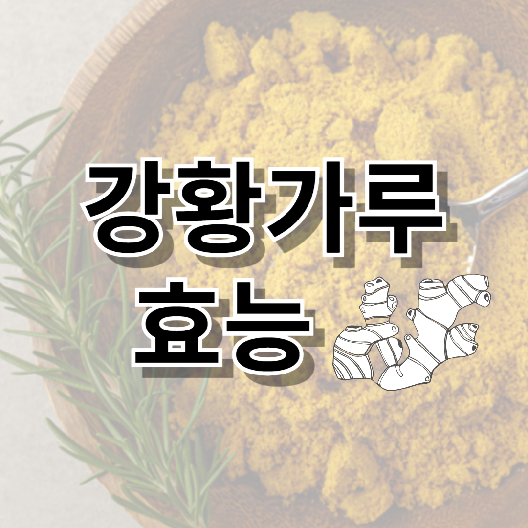 강황가루 효능