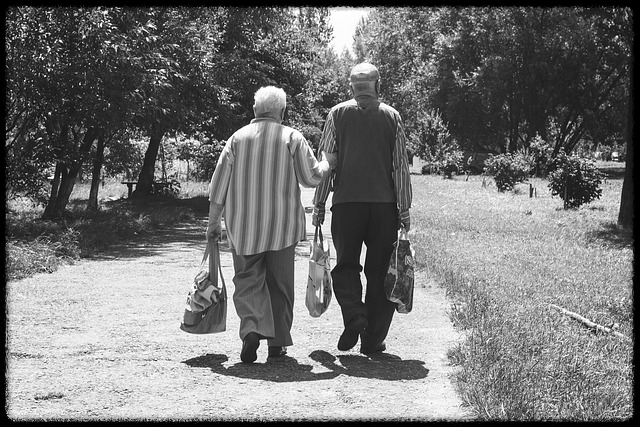 장기요양등급 신청방법 등급 잘받는 꿀팁까지 (총정리)