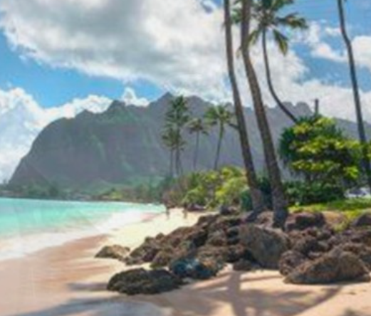 해외여행자-보험