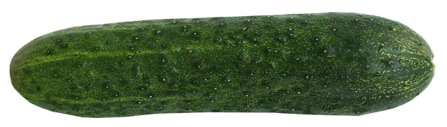 pix_오이 탕탕이 레시피_14