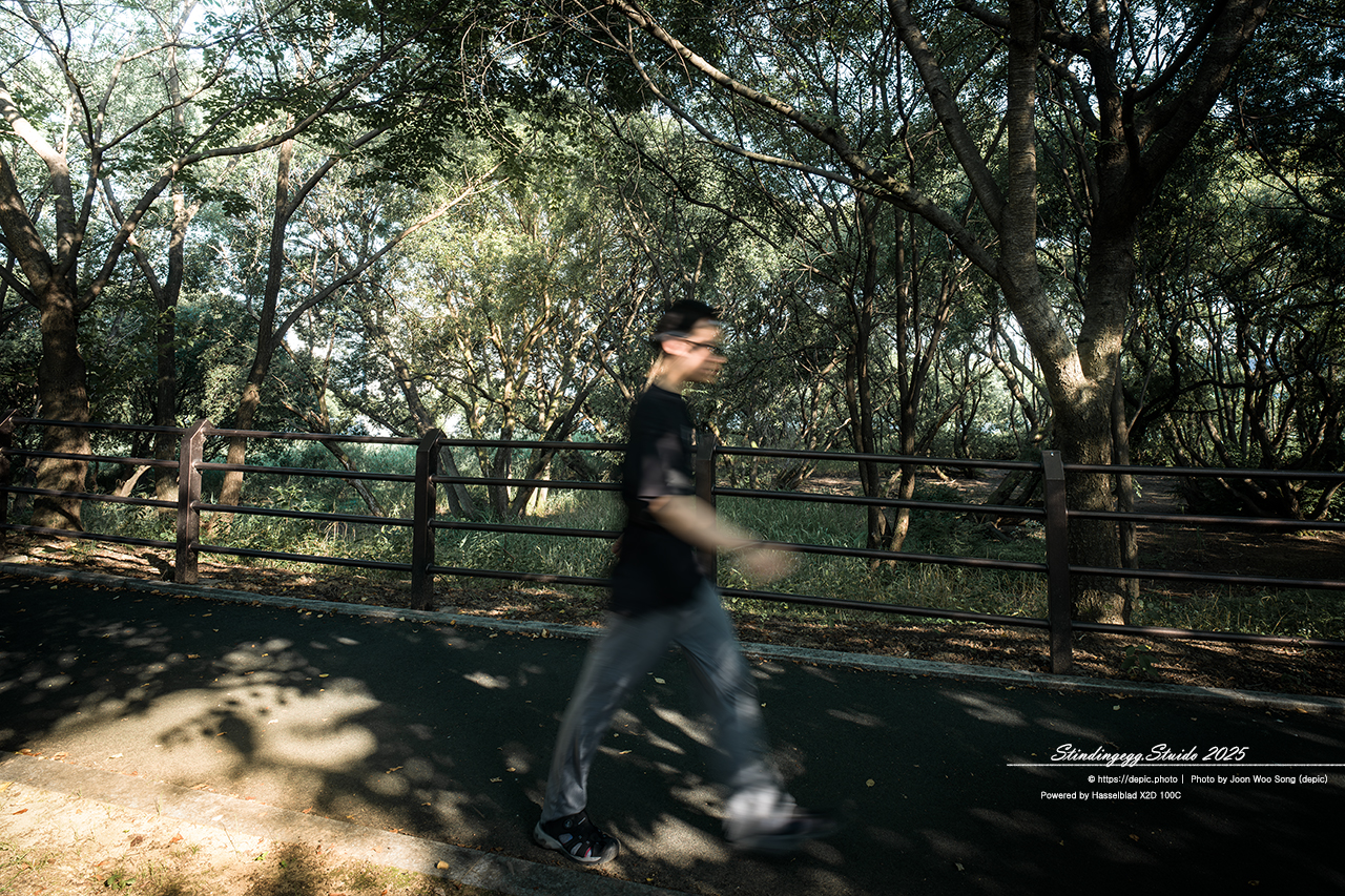 #청주 #오송 #호수공원 #오송호수공원