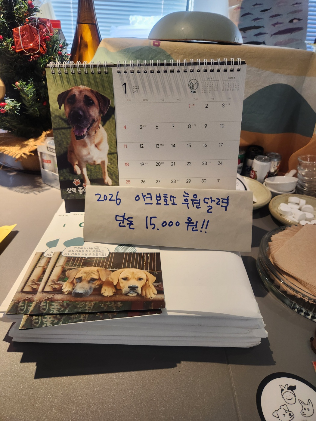 동물권 메시지가 자연스럽게 스며든 공간