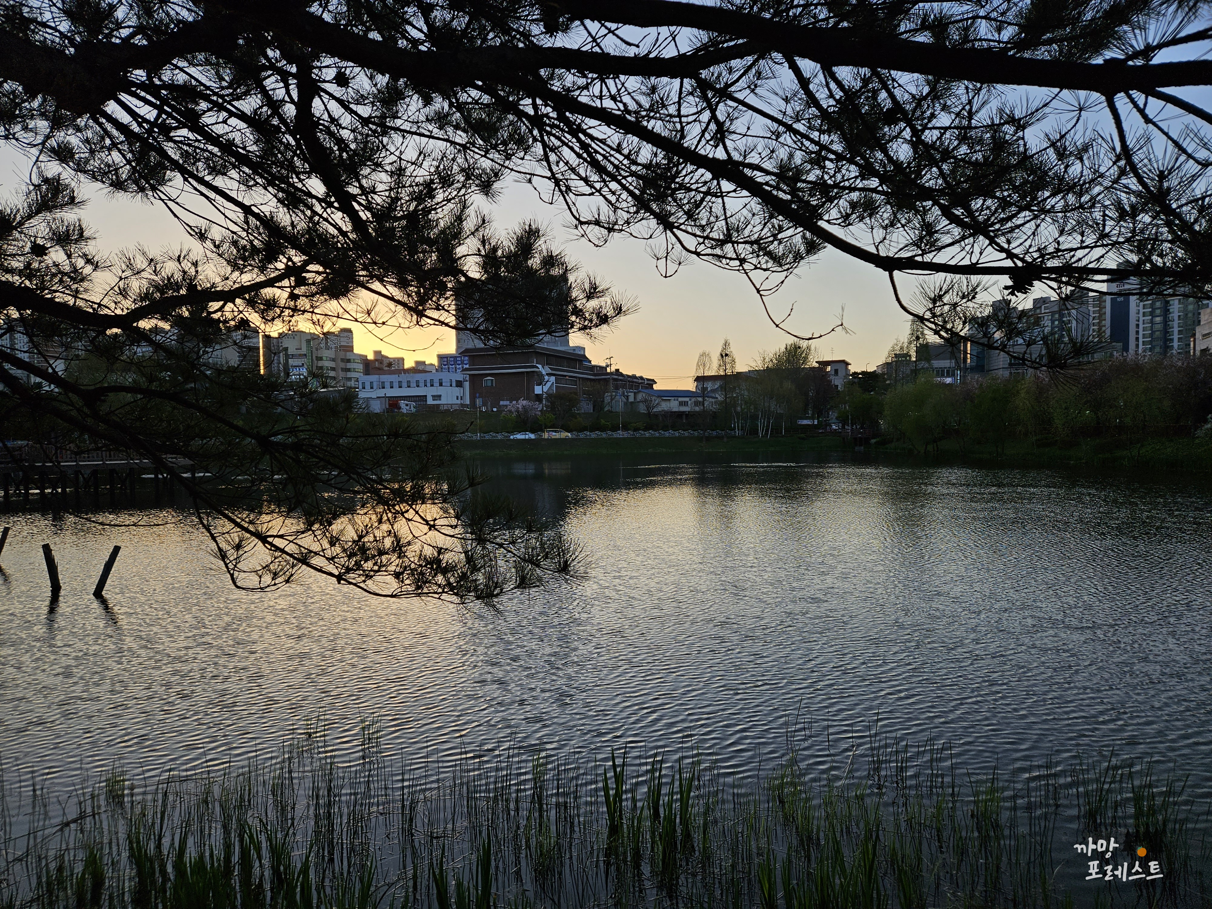 봉담호수공원 일몰