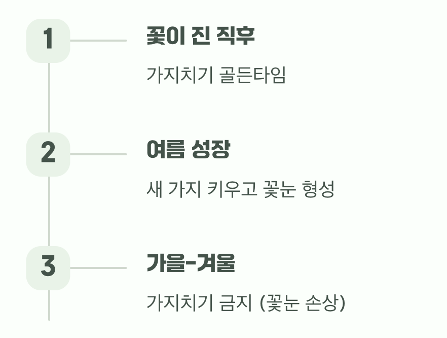 더 풍성한 내년을 위한 약속, 가지치기