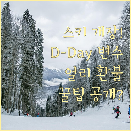 국내 스키장 개장일 변수와 얼리버드 ..
