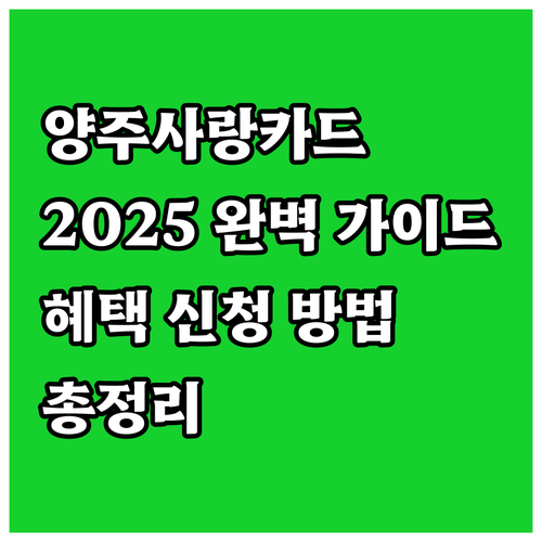 2025 양주사랑카드 완벽 가이드 혜..