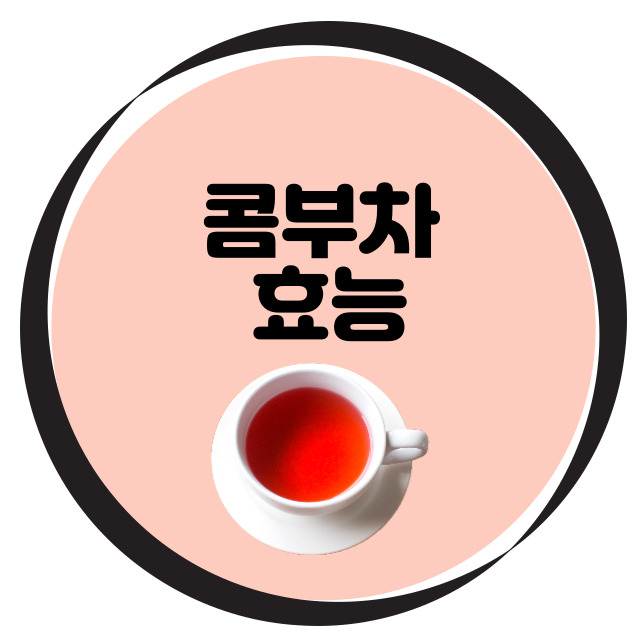 콤부차 효능