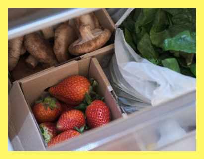 표고버섯-보관방법