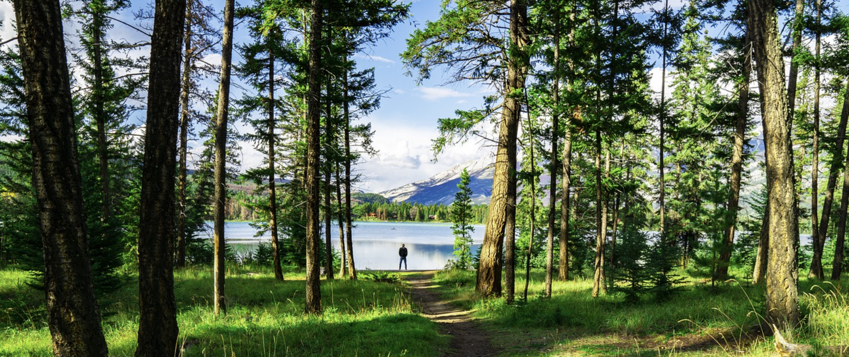 숨은 봄 캠핑 명소 관련사진